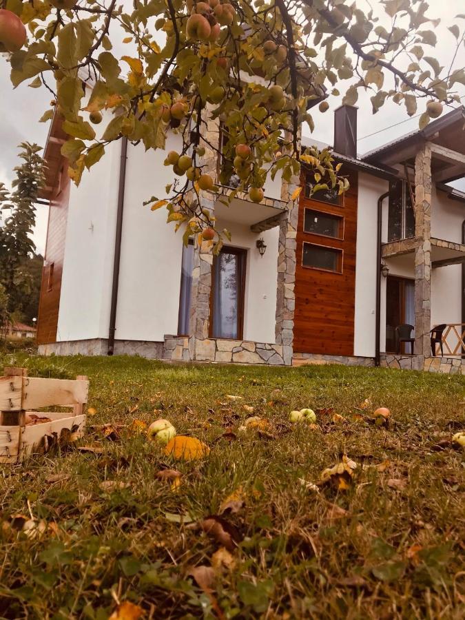 Vila Montenegrina Колашин Екстер'єр фото